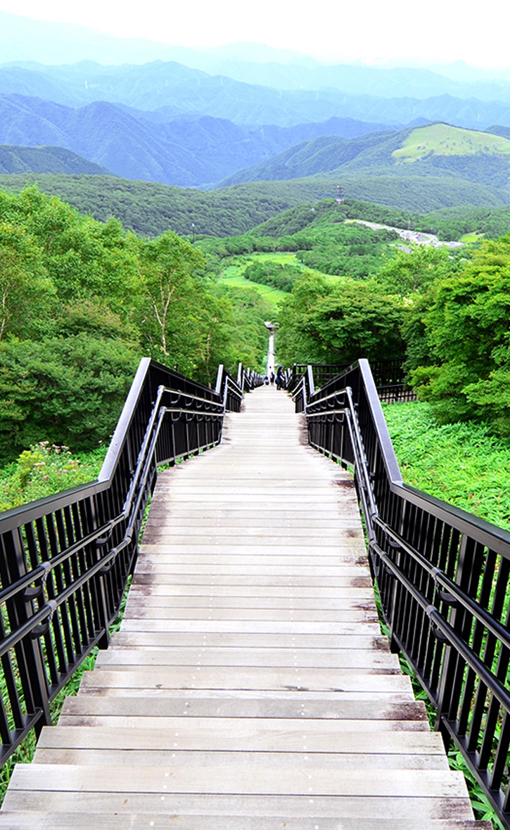 日光霧降高原キスゲ平園地 | 【公式】グランピングリゾート ブリリアントヴィレッジ日光｜栃木県