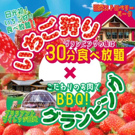 【いちご様】専用・赤/緑、各360ｇ≪リクエスト特割特価≫ いちご狩りプラン正方形-460x460.jpg