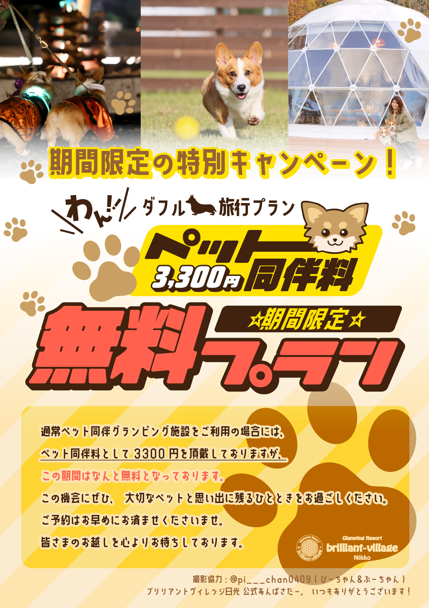 期間限定］ペット同伴料3,300円無料プラン | 【公式】グランピング