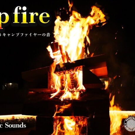 本物のキャンプファイヤーの様子を【4K高画質】で収録 | 【公式