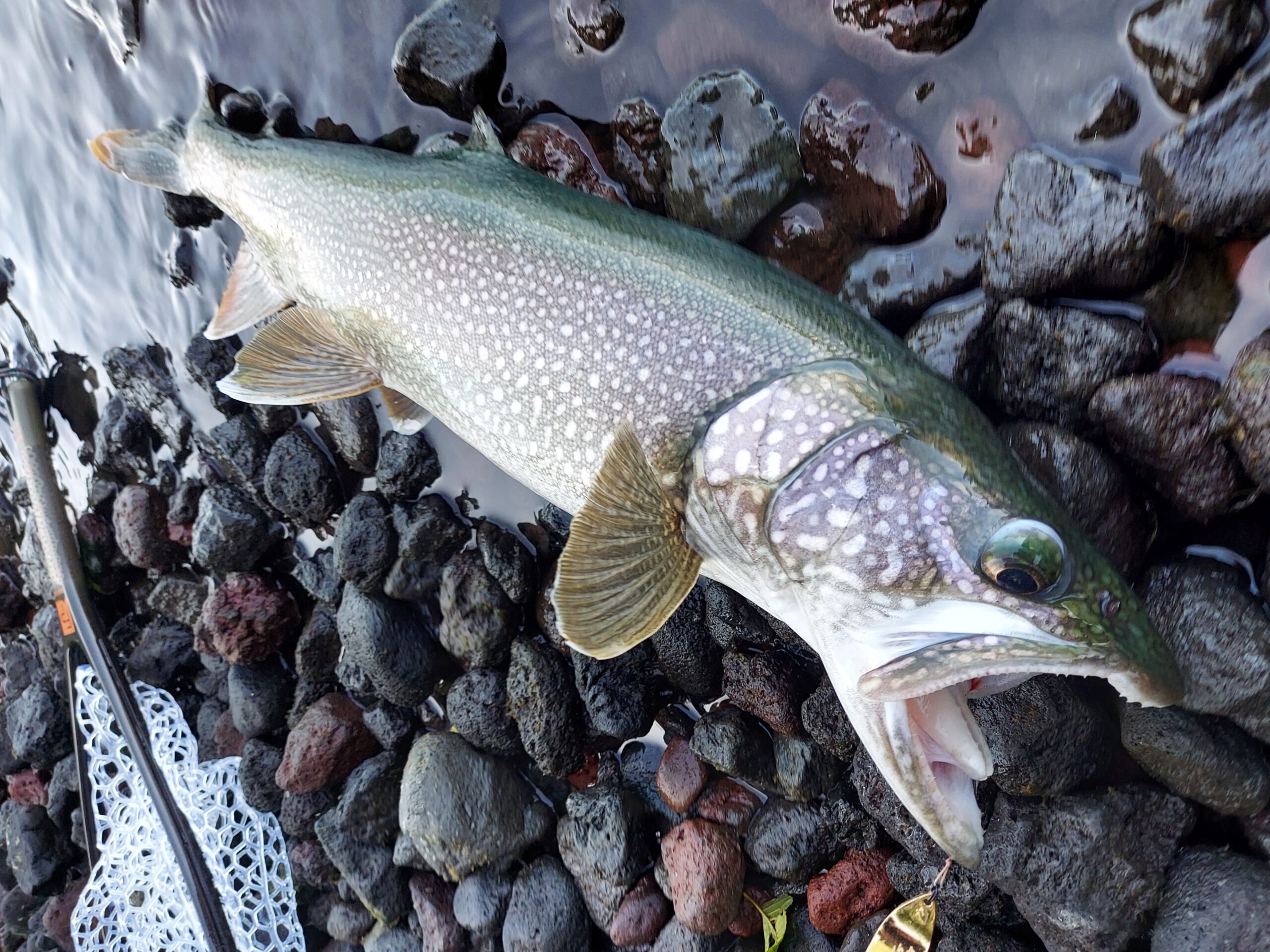 2025.8.27中禅寺湖トラウトフィッシング🎣 | 【公式】グラン