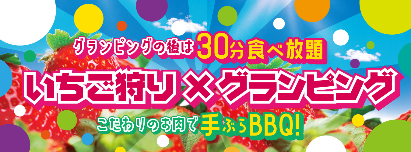 いちご狩りプラン