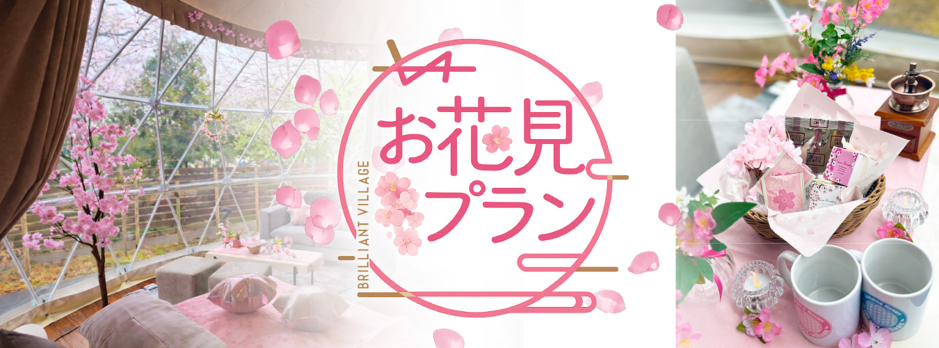 お花見プラン