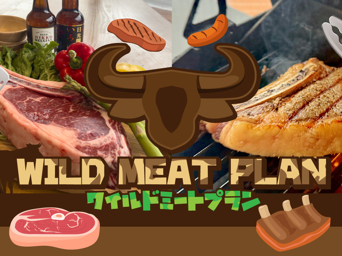 ワイルドミートプラン